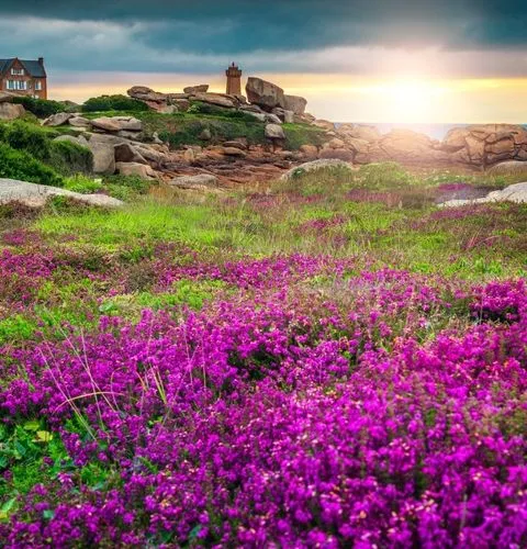 Pink granite coast Brittany